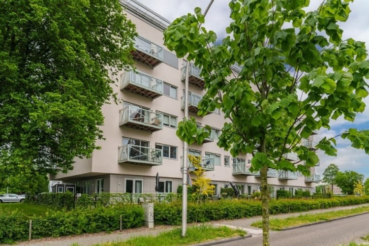 Govert Flinckstraat 13